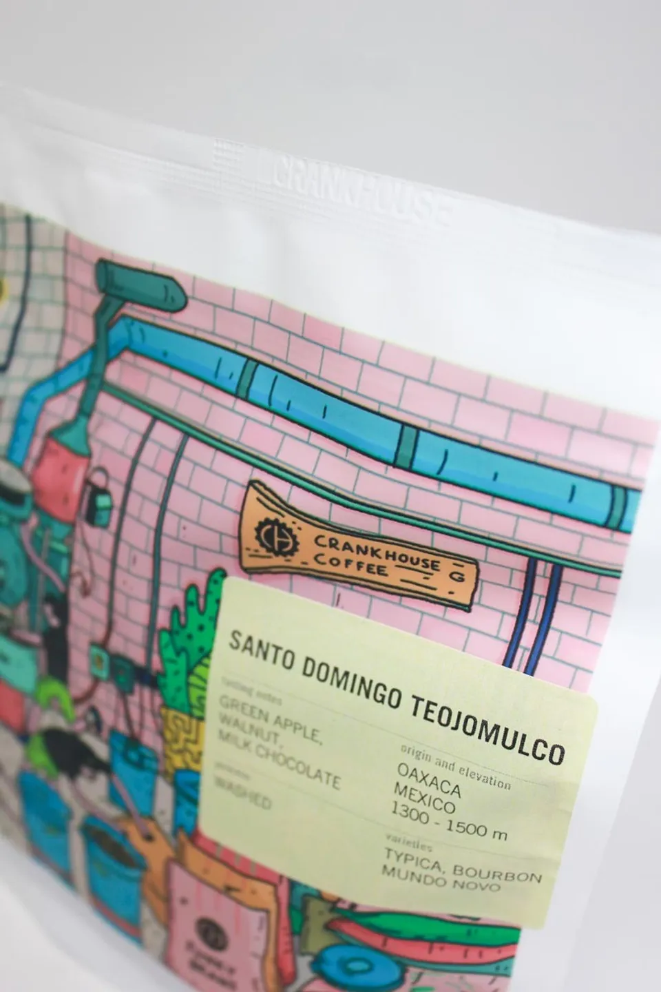 Santo Domingo Teojomulco, Mexico