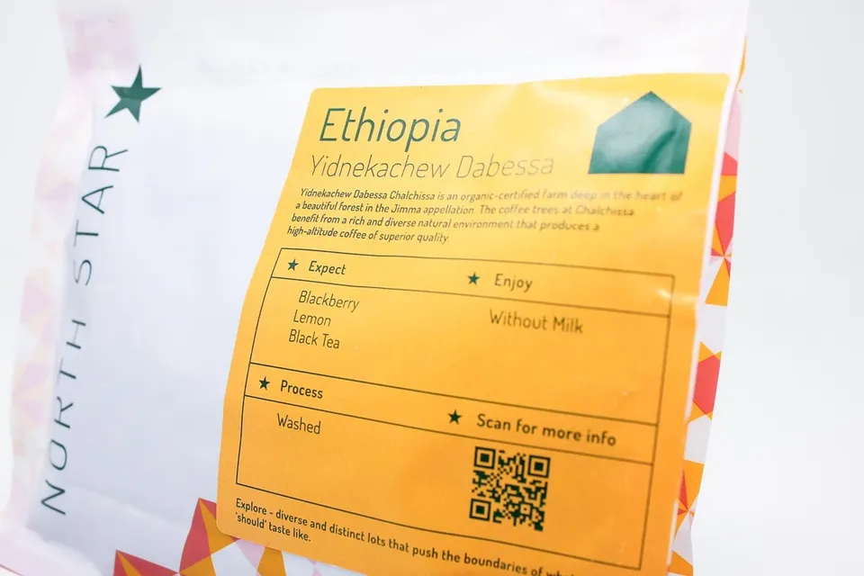 Yidnekachew Dabessa, Ethiopia