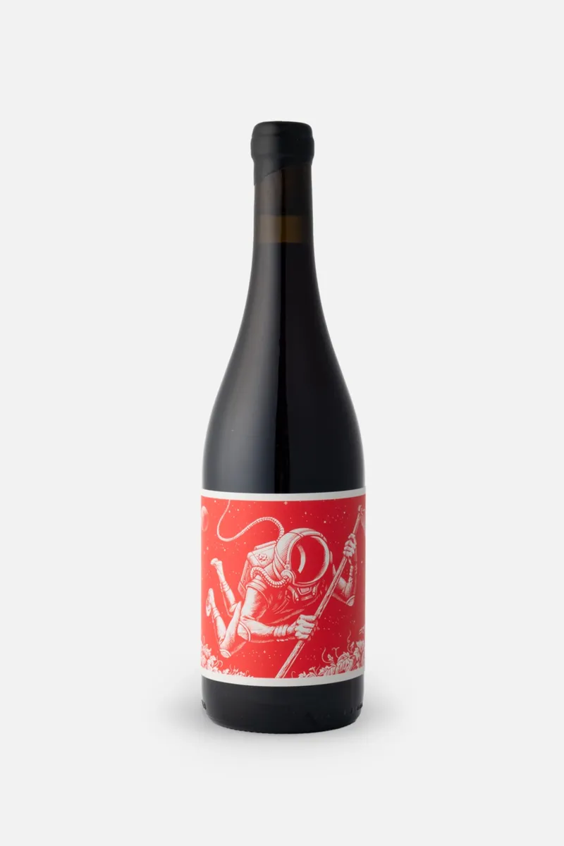 El Cosmonauta y el Viaje en el Tiempo product photo