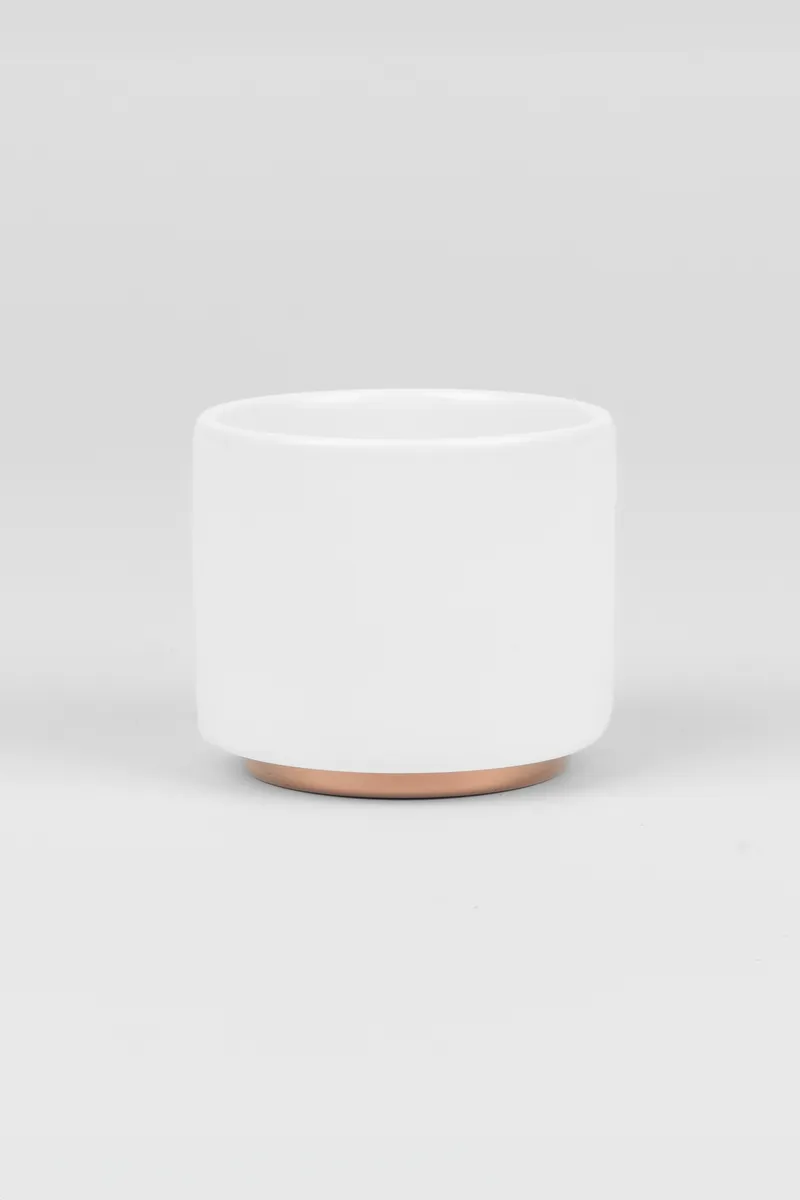 Fellow Monty Cappuccino Cup - White product photo